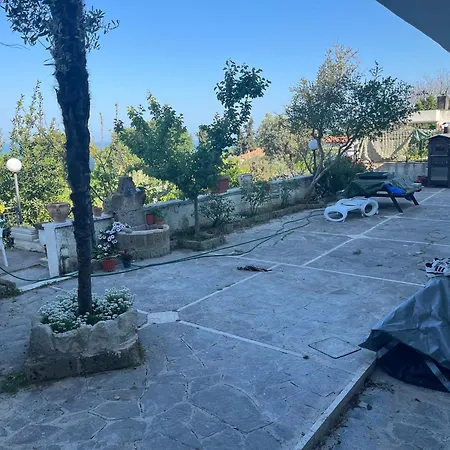 Апартаменты Carlotta *